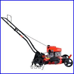 21 2-in-1 170 CC Gas Push Lawn Mower