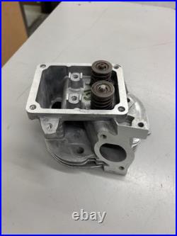 799859 Genuine OEM BRIGGS & STRATTON Head-Cylinder