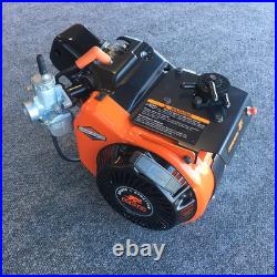 Briggs & Stratton Animal LO206 Go Kart Engine NEW