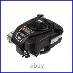 Briggs and Stratton 14D932-0110-F1 Professional Series 10 GT 223cc Vertical