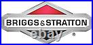 Briggs and Stratton 14D932-0110-F1 Professional Series 10 GT 223cc Vertical