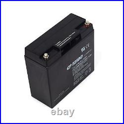 Briggs and Stratton 193043GS Battery