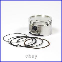 Briggs and Stratton 841837 Piston Assembly (STD)