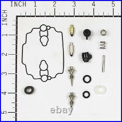 Briggs and Stratton 842873 Carburator Overhaul kit