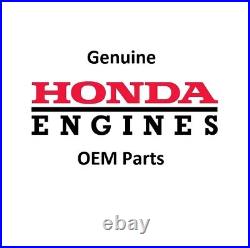 Genuine Honda 16100-ZL0-D66 Carburetor BE74D Fits EU3000is OEM