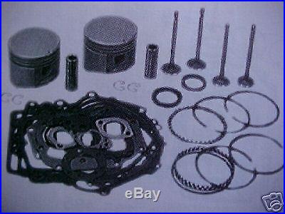 Rebuild kit for BRIGGS&STRATTON TWIN CYLINDER 16hp-18hp